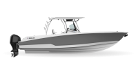 imgi_21_302FPDPphantomgray